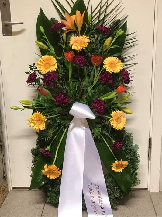 Størri kransur við bandið